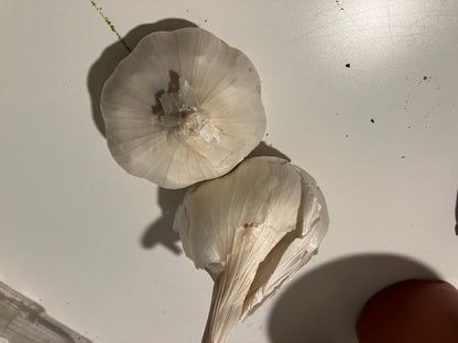 Garlic - California Early