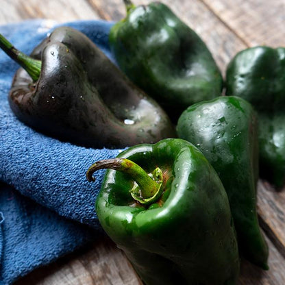 Pepper - Poblano