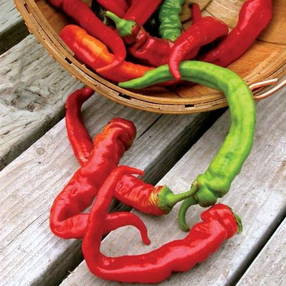 Pepper - Jimmy Nardello