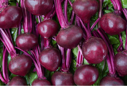 Beets - Chiogga Heirloom
