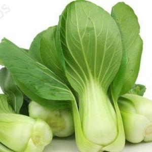 Pak Choi - Pechay