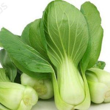 Load image into Gallery viewer, Pak Choi - Pechay
