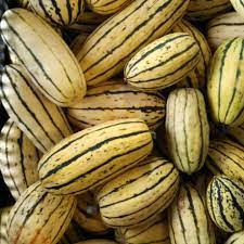 Winter Squash - Delicata