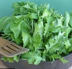 Mustard - Signature Mild Greens Mix