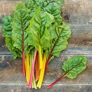 Swiss Chard - Bright Lights