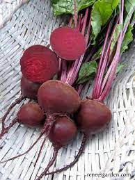 Beets - Dutch Red Baron F1