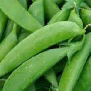 Snap Pea - Sugar Snap