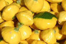 Summer Squash - Patty Pan Scallop blend